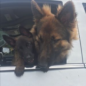 Meet your Posher, Morgan